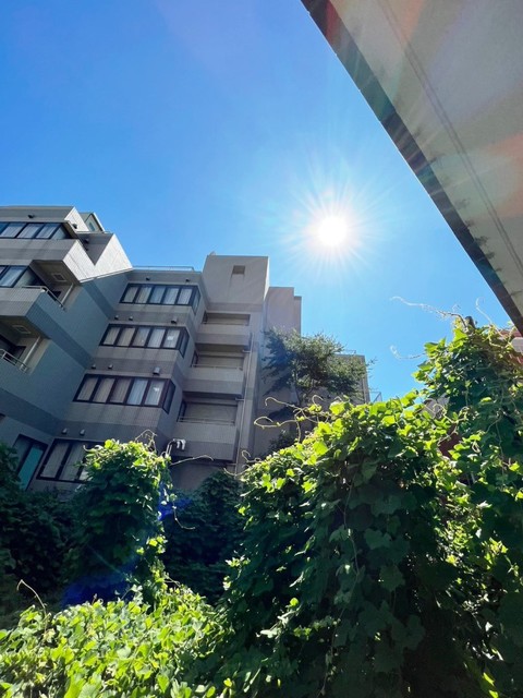 眺望　別部屋同仕様