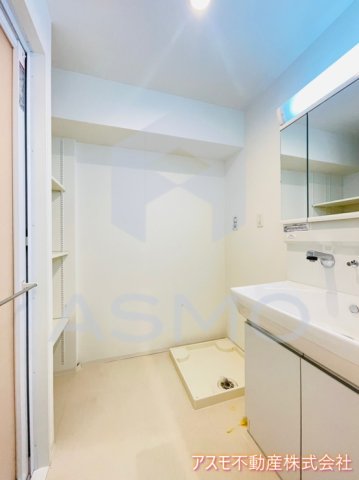 洗面設備　同マンション別部屋参考写真