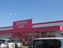 スーパー　ザ・ダイソー 久留米東合川店（スーパー）まで442m