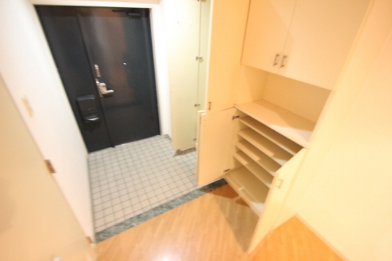 玄関　※別部屋の写真です