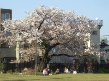 【ZOOM新宿御苑前の公園】