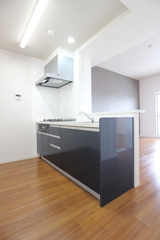 キッチン　※別号室の写真です。