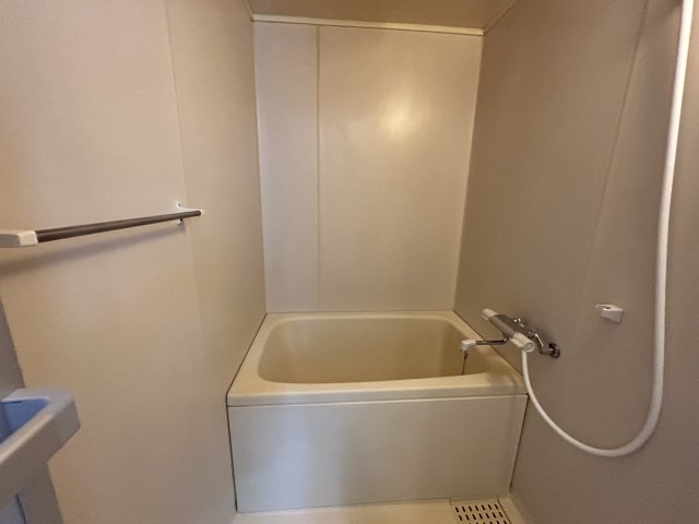 バス・シャワールーム　※同物件別号室の写真になります