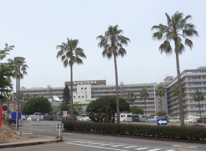 大学・短大　鹿児島大学桜ケ丘地区医歯学部（大学・短大）まで2085m