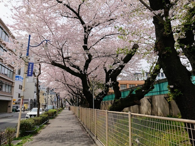 小学校　名古屋市立丸の内小学校（小学校）まで1296m