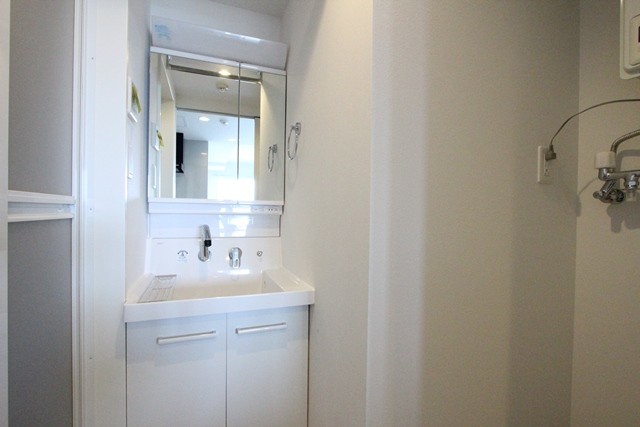 洗面設備　シャワードレッサー付きです！