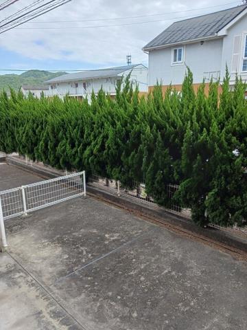 庭