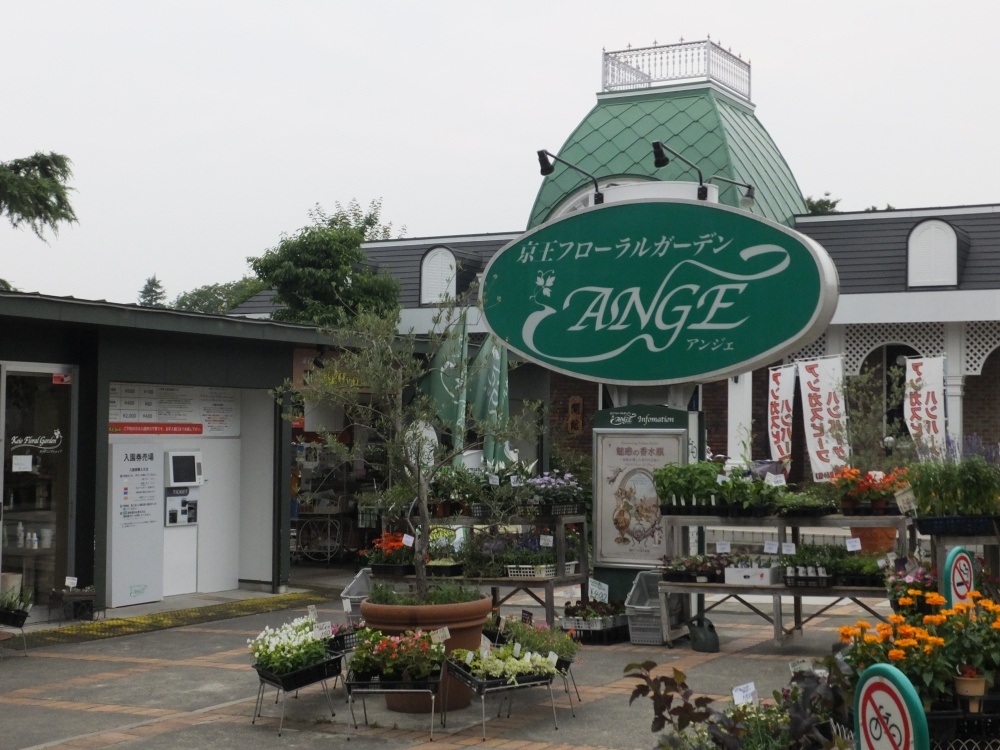 飲食店　アンジェ（飲食店）まで315m