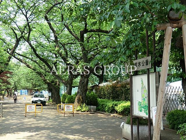 公園　羽根木公園（公園）まで601m