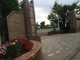 中学校　さいたま市立美園中学校（中学校）まで452m