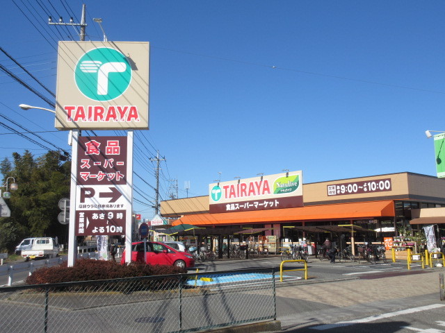 その他　エコスTAIRAYA羽沢店（その他）まで491m