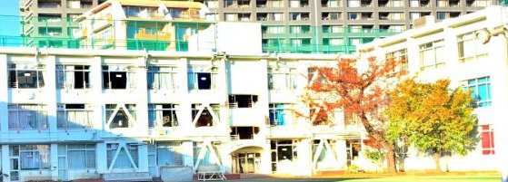 小学校　新宿区立柏木小学校（小学校）まで1091m