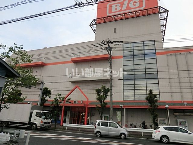 スーパー　ザ・ビッグ 八潮南店（スーパー）まで790m