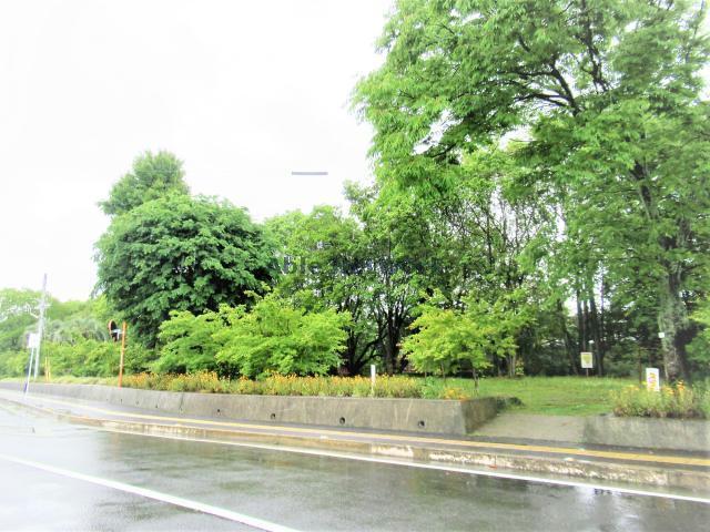 公園　小船越緑地（公園）まで631m