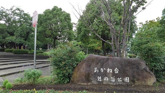 公園　公園（公園）まで550m