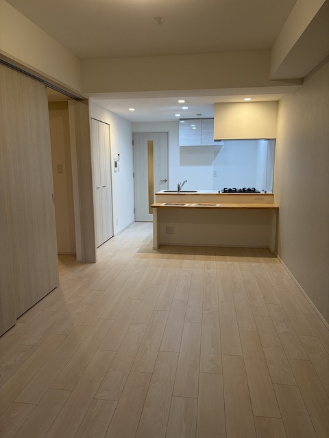 スプランディッド堺東IIIの居間写真