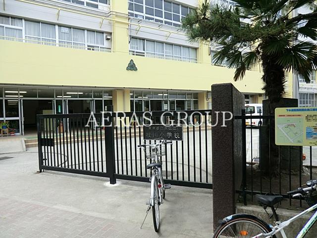 小学校　江東区立枝川小学校（小学校）まで739m