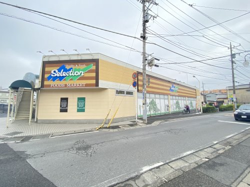 スーパー　FOODS MARKET Selection松戸店（スーパー）まで482m