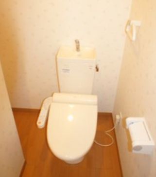 トイレ　トイレも気になるポイント