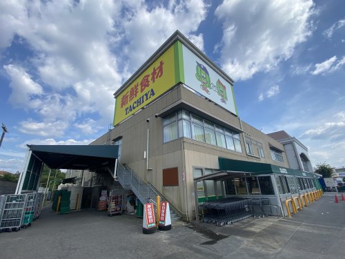 スーパー　タチヤ多治見店（スーパー）まで1531m
