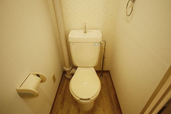 トイレ　※他号室の写真です