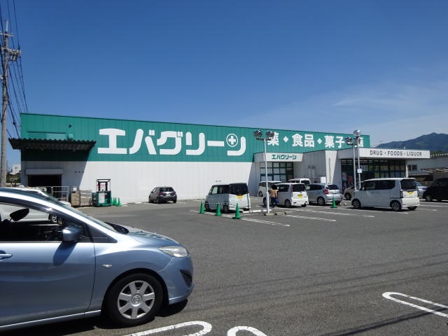 ドラックストア　エバグリーン高野口店様（ドラッグストア）まで982m