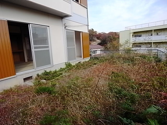 庭
