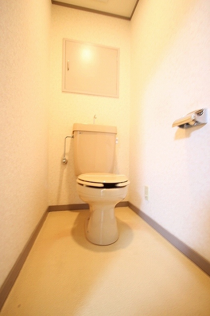 トイレ　同物件別号室の写真