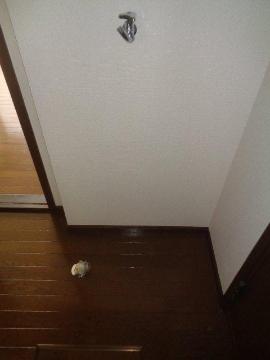 その他　洗濯機置場