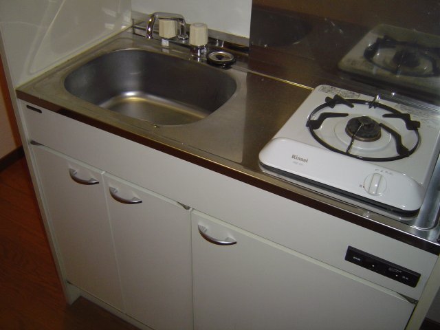 キッチン　写真は別号室のものです。