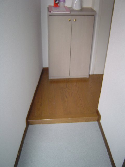 玄関　写真は別号室のものです。