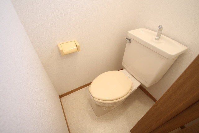 【エクセレント杉IIのトイレ】