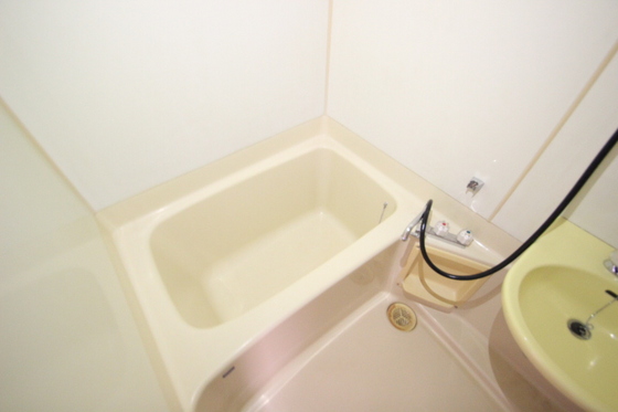 バス・シャワールーム　※別部屋の写真です