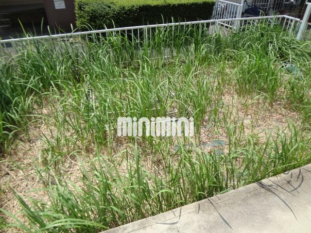 庭　日当たりの良い庭