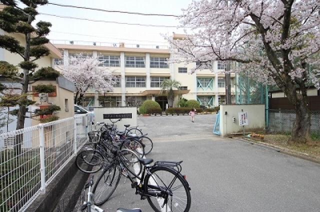小学校　橿原市立耳成南小学校（小学校）まで1197m