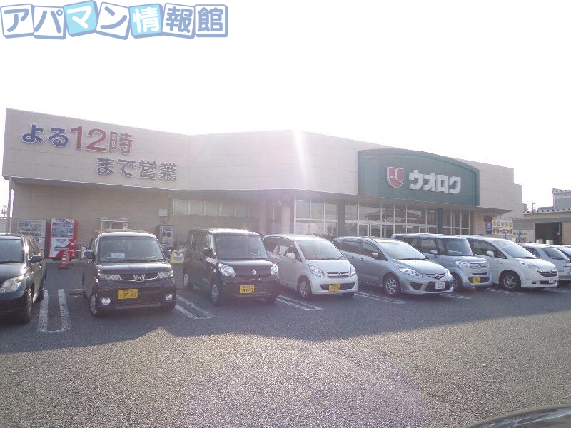 シオン_その他_5