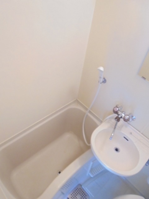 バス・シャワールーム　他号室になります