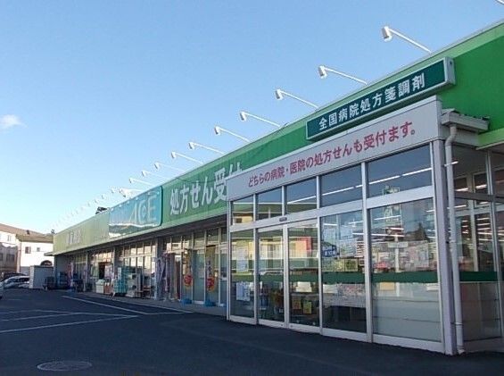 ドラックストア　ドラックエース箭弓町店（ドラッグストア）まで700m