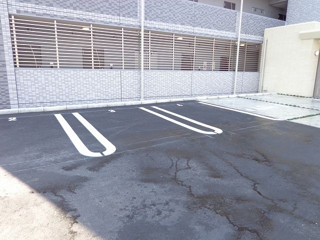 カメリア Yのその他写真