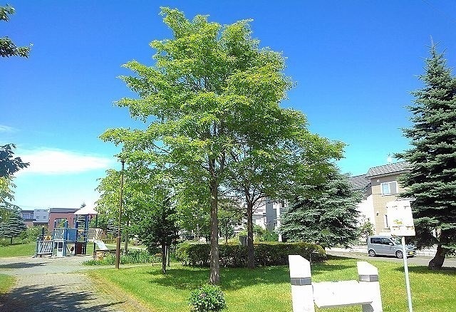 公園　米里いきいき公園（公園）まで160m