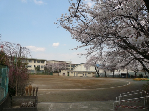 中学校　八王子市立第三中学校（中学校）まで313m