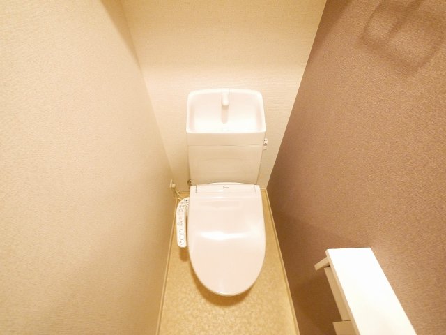 トイレ　トイレも気になるポイント