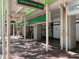 コンビニ　ローソンストア100江東大島六丁目団地店（コンビニ）まで358m