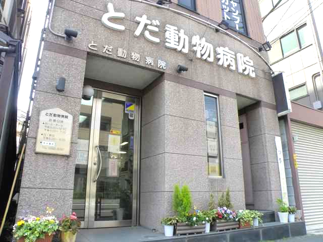 病院　とだ動物病院（病院）まで34m