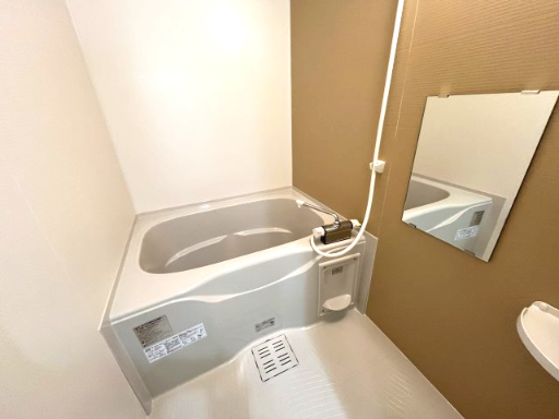 バス・シャワールーム　イメージとして同建物他部屋を表示しています