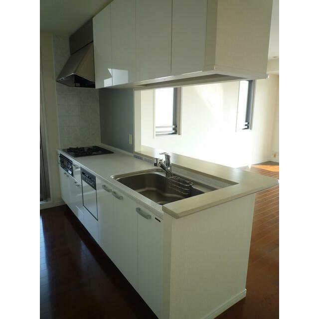 キッチン　Eタイプ2010年2月撮影 同タイプ208号室の写真です。