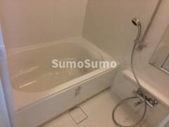 バス・シャワールーム　落ち着いた空間のお風呂です