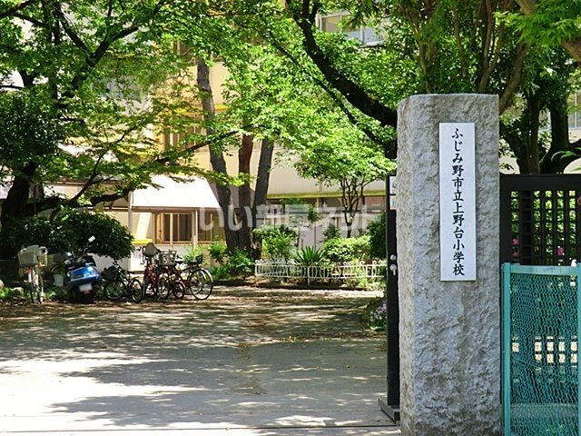 小学校　上野台小学校（小学校）まで881m