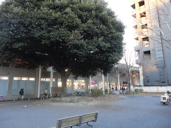 公園　ハナノキ公園（公園）まで20m