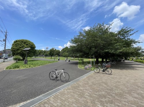 公園　城北中央公園（公園）まで572m